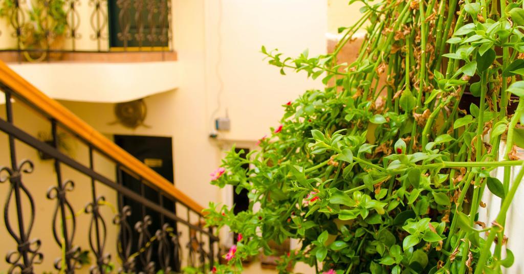 Old City Inn Hotel 바쿠 외부 사진